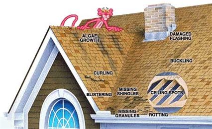roof damage repair residential commercial