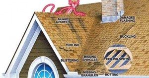 Hail Damaged Roof Repair Contractor Castle Rock